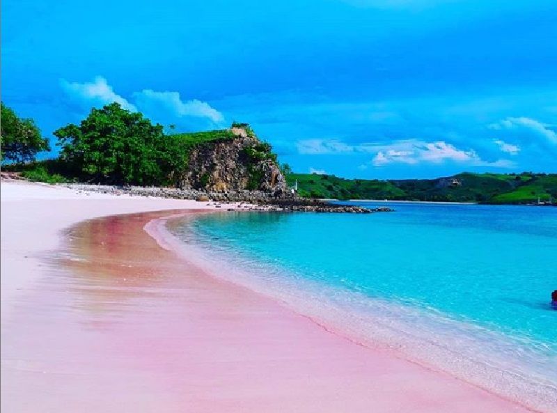 Pantai Pink Lombok Timur NTB