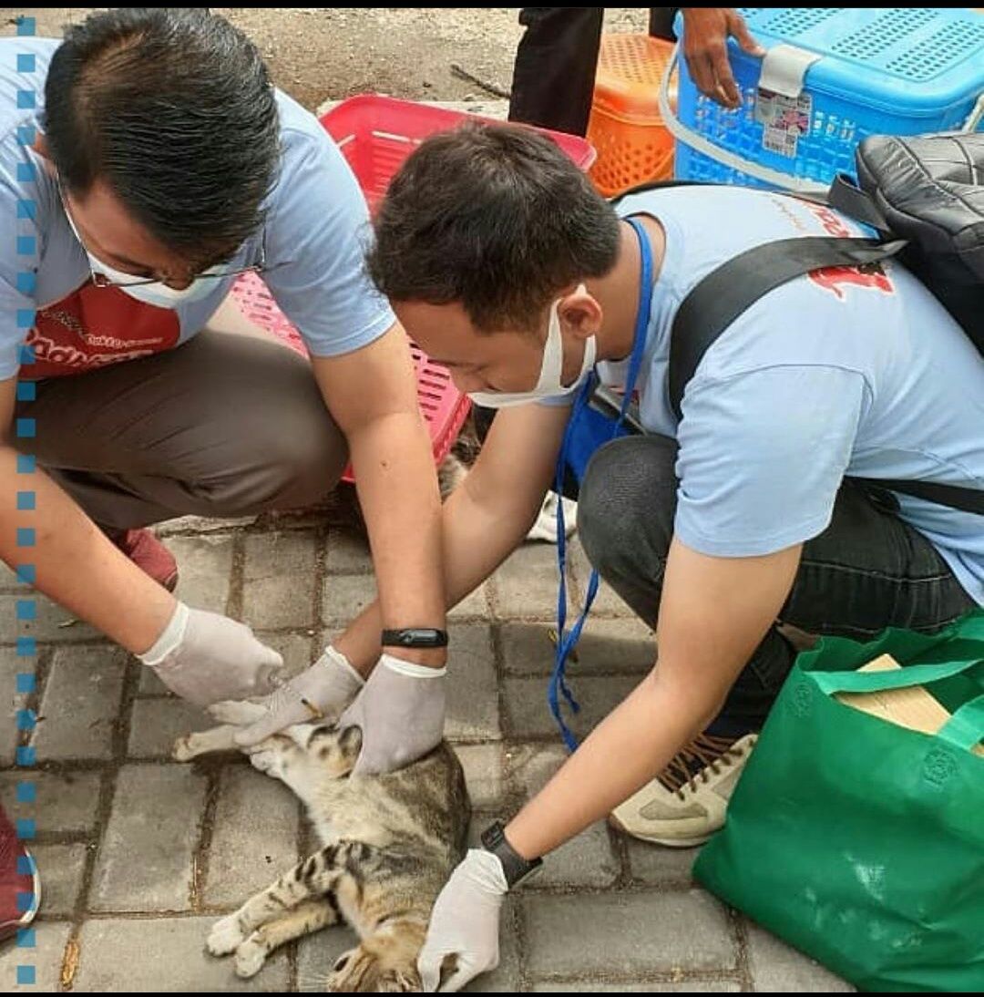 Cek Jadwal Vaksin Rabies Gratis oleh Anies Baswedan, Mulai Jakarta