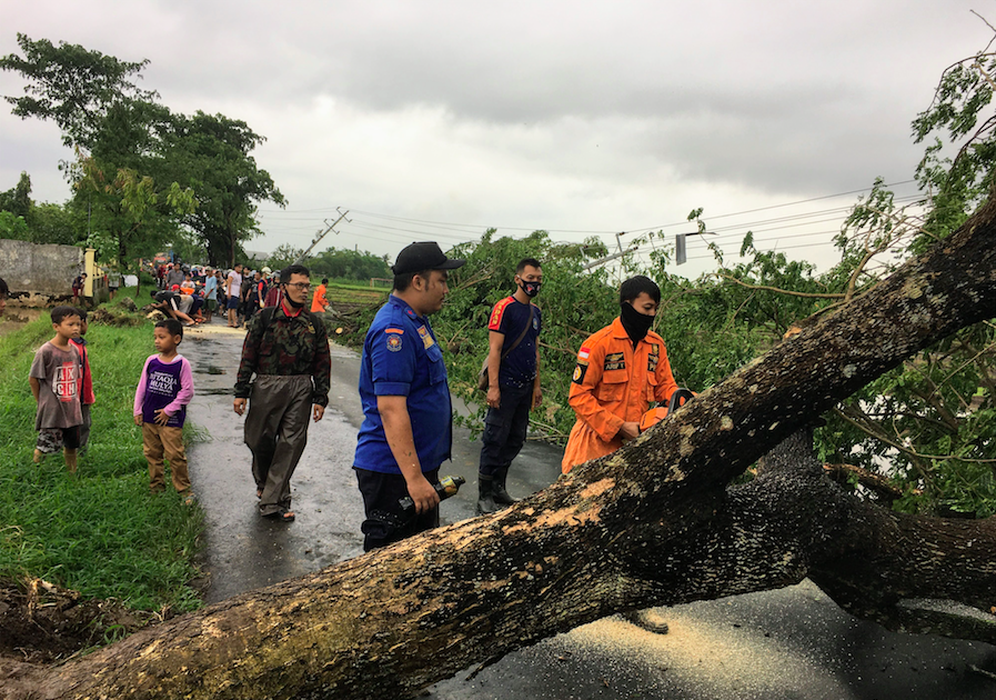 BPBD bersama PMI dan sejumlah relawan melakukan evakuasi pohon yang tumbang di sepanjang Purbalingga - Kemangkon.