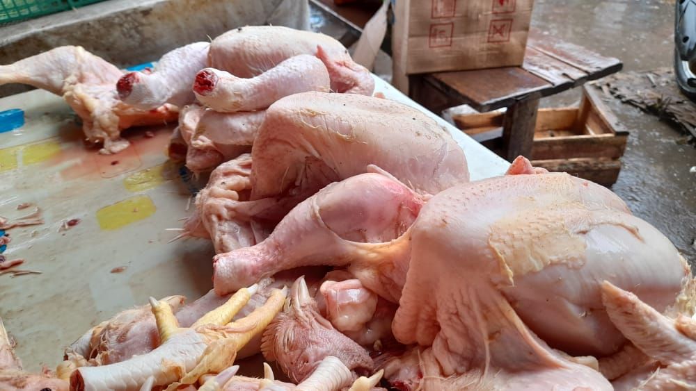 Harga Ayam Naik Pengamat Itu Karena Ada Peningkatan Permintaan Tuban Bicara