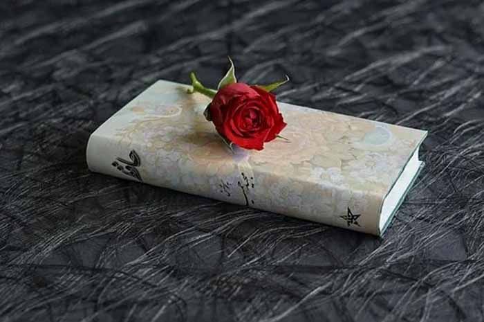 Puisi Tentang Bunga / Puisi Bunga Romantis Cute766 / Ku selipkan sekuntum bunga, ku dapatkan saat kita ziarah, sebuah pesan untuk cinta kita, agar tak mati di telan.