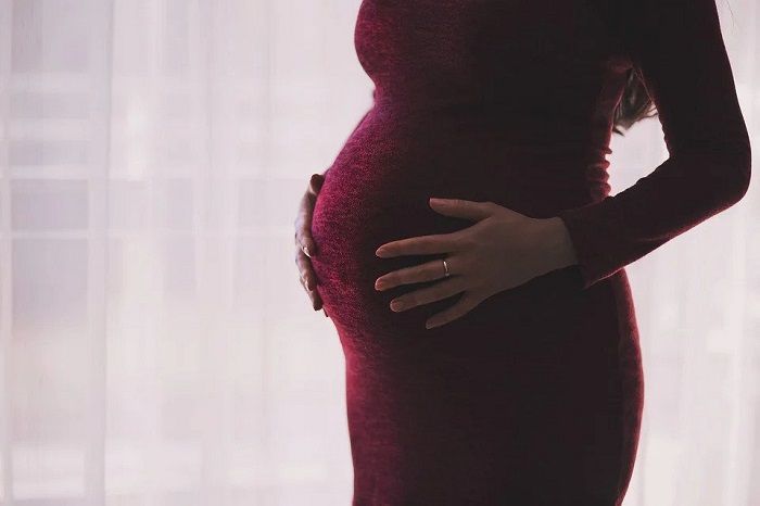 Ibu hamil sebaiknya hindari konsumsi pepaya berlebihan, terutama pepaya mentah/