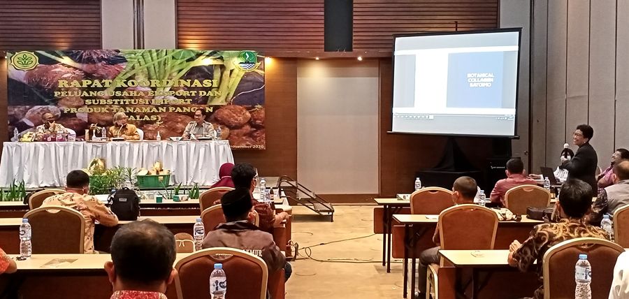 Peneliti dan praktisi talas Ida Suhadi memaparkan manfaat talas Jepang, Satoimo, di Bandung, Kamis, 12 November 2020