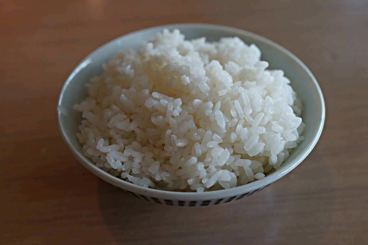 Penderita makanan asam pengganti nasi lambung untuk 6 Pilihan