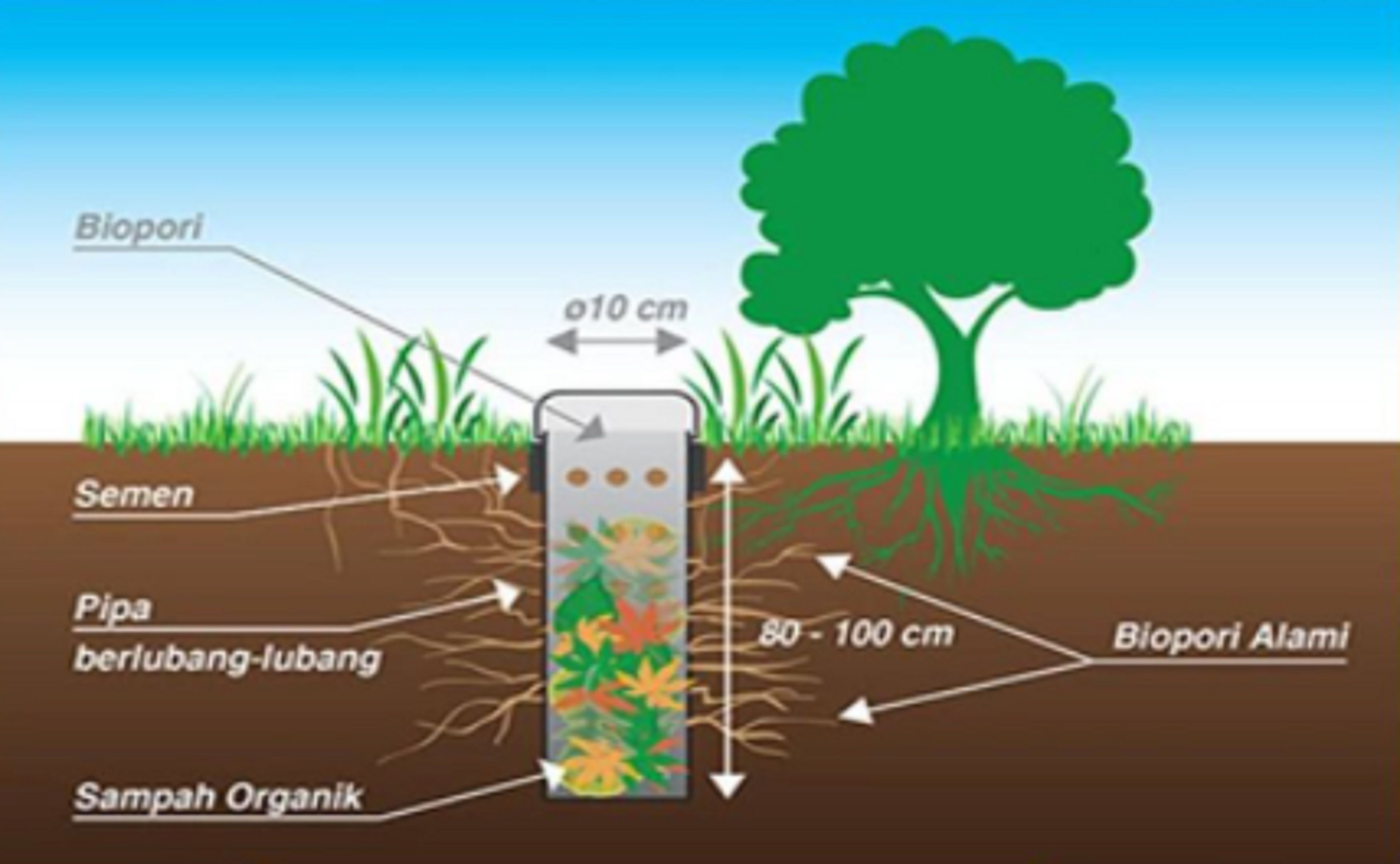 4 Manfaat Biopori, Bisa Mencegah Banjir Hingga Mengurangi Sampah Organik