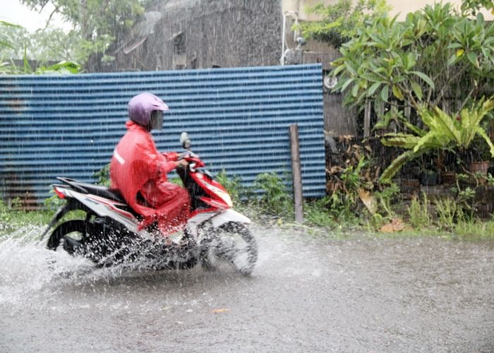 Monyet Pake Jas Hujan Warna Hijau - Gambar Mewarnai Jas Hujan