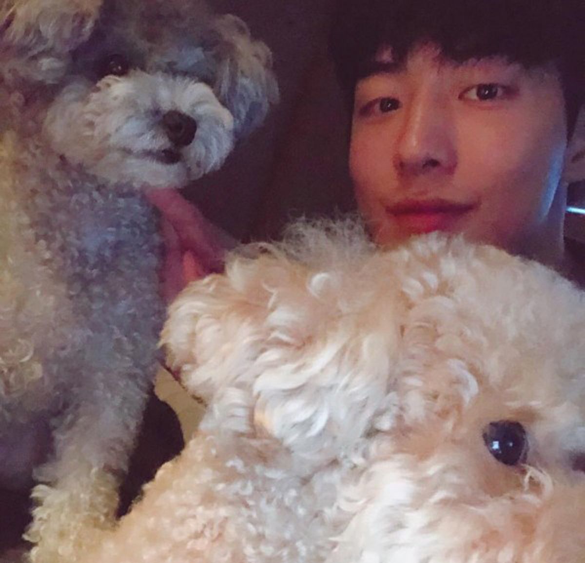 Aktor Drama Korea Nam Joo Hyuk dengan anjing kesayangannya Ga Eul dan Gob Soon