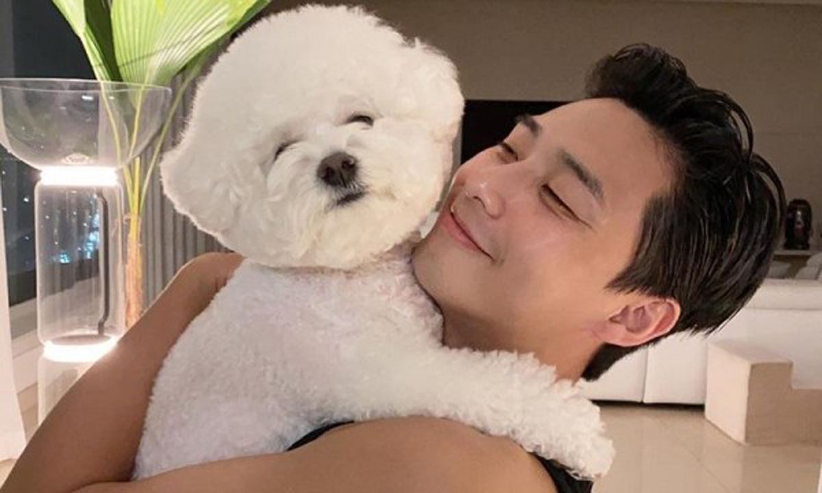 aktor korea park-seo-joon dan anjingnya simba