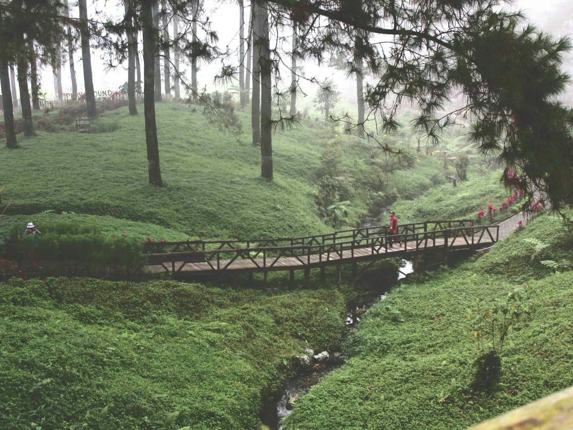 Obyek wisata hutan pinus Limpakuwus Kecamatan Baturden  Banyumas yang dikelola Perum Perhutani dan masyarakat desa setempat sudah menerapkan protokol kesehatan 