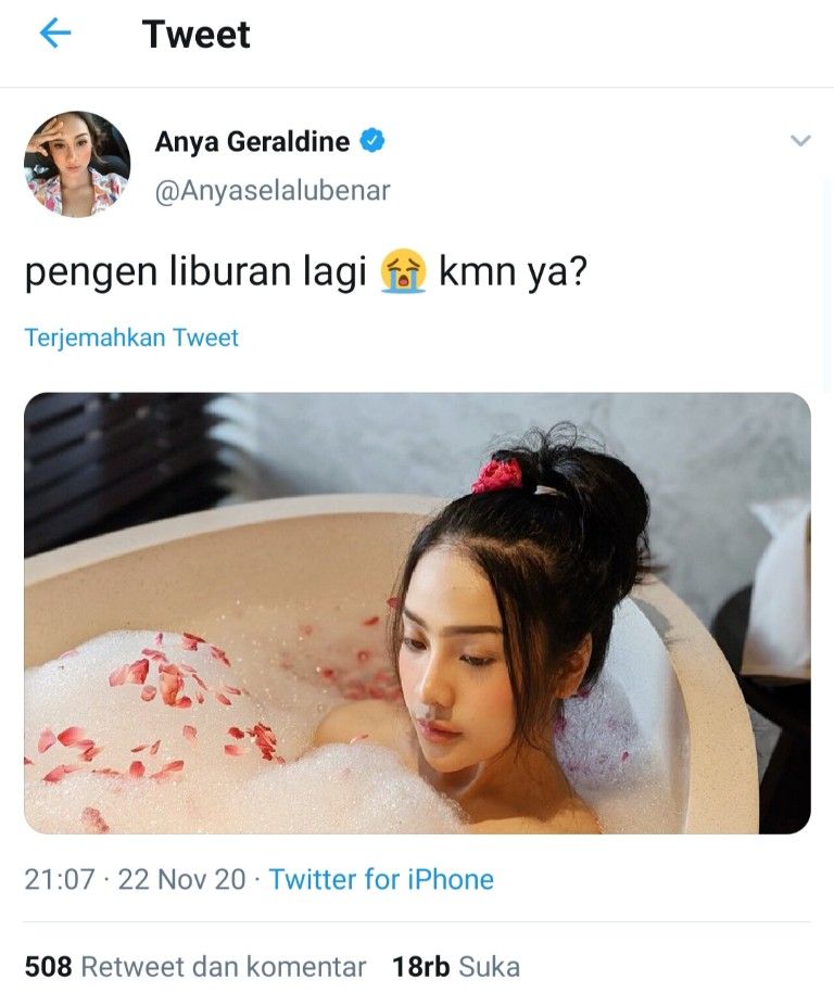 Anya Geraldine berendam di Twitter 
