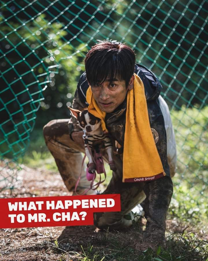 What Happened to Mr. Cha?