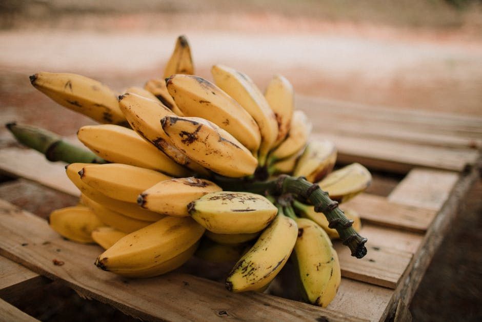 15 Manfaat Pisang Kepok Untuk Kesehatan Salah Satunya Mencegah Sembelit Ringtimes Banyuwangi