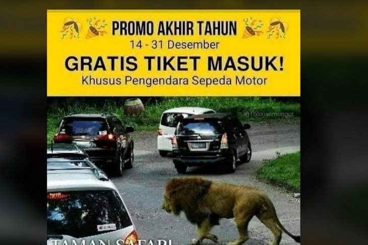 Tangkapan informasi hoaks yang mengklaim bahwa pihak Taman Safari Indonesia menyediakan tiket masuk gratis.