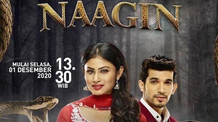 Profil Dan Biodata Pemain Naagin Antv Lengkap Beserta Agamanya Tayang Pukul 13 30 Wib Berita Kbb