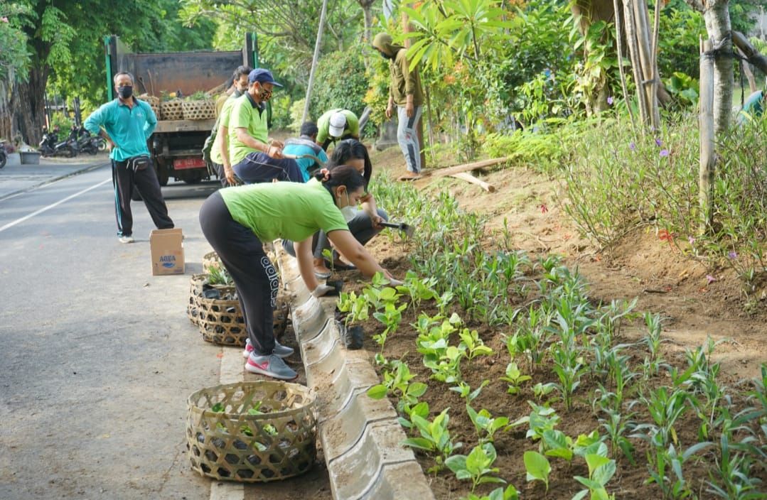 Dinas Perumahan, Kawasan Permukiman dan Pertanahan (Perkim) Kota Denpasar melaksanakan pembibitan swakelola, Jumat 4 Desember 2020