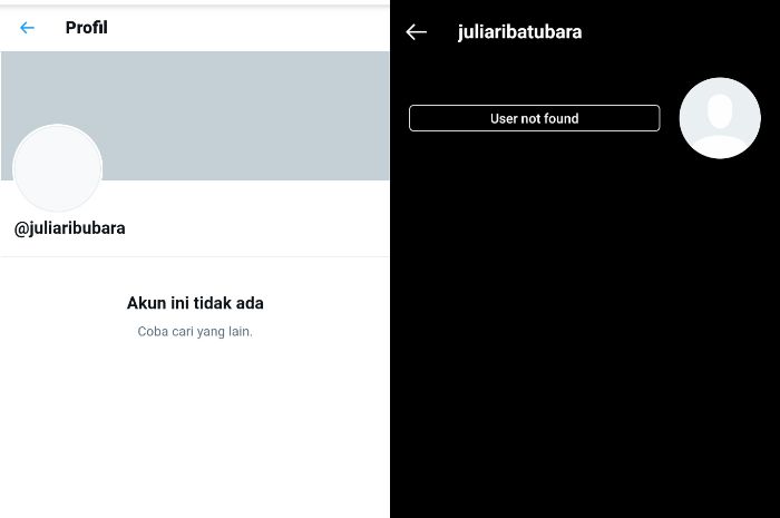 Akun Twitter dan Instagram milik Mensos Juliari Batubara menghilang.*