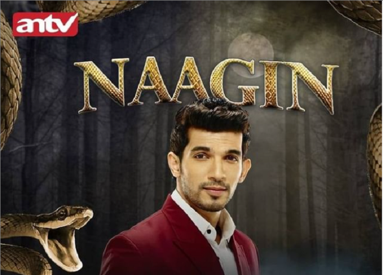 Jadwal Antv Hari Ini 4 Januari 2021 Tayang Naagin 2 Radha Krishna Dan Aku Bukan Dia Berita Sleman