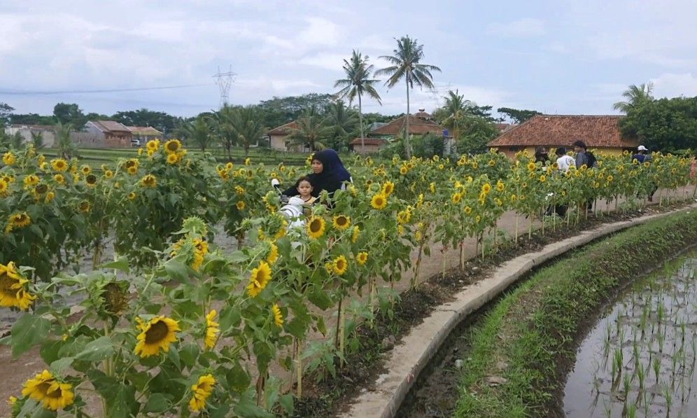 Jalan Masuk Kampung Bungbulang Disulap Jadi Lokasi Selfie Portal Bandung Timur