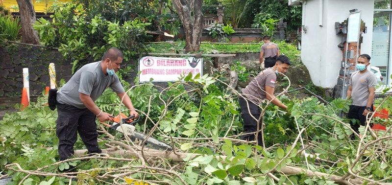 Kewaspadaan dampak cuaca ekstrim di lingkungan Mako Polres Tabanan dipimpin Kabag Sumda Polres Tabanan Kompol Amy Ramayati Prakasa S.I.P., M.M membersihkan lingkungan dan memangkas pohon yang rawan tumbang.