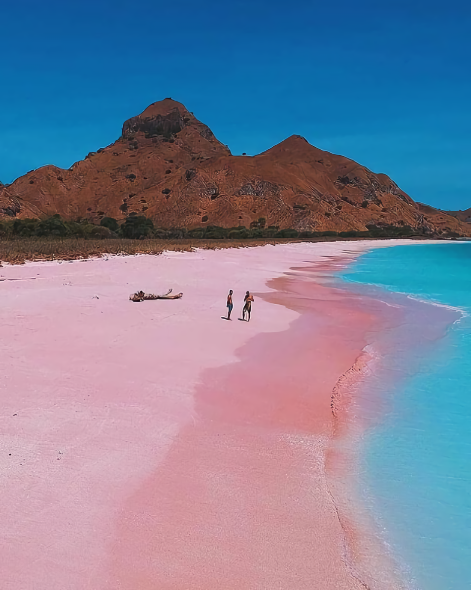Pantai Pink Lombok Timur