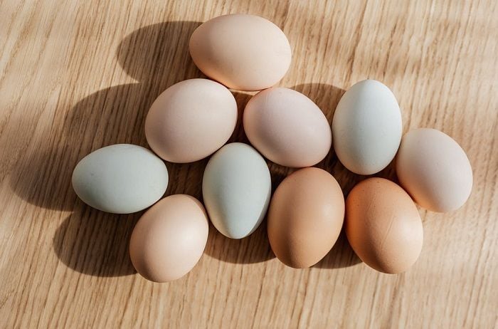 Harga telur ayam terkini 2021