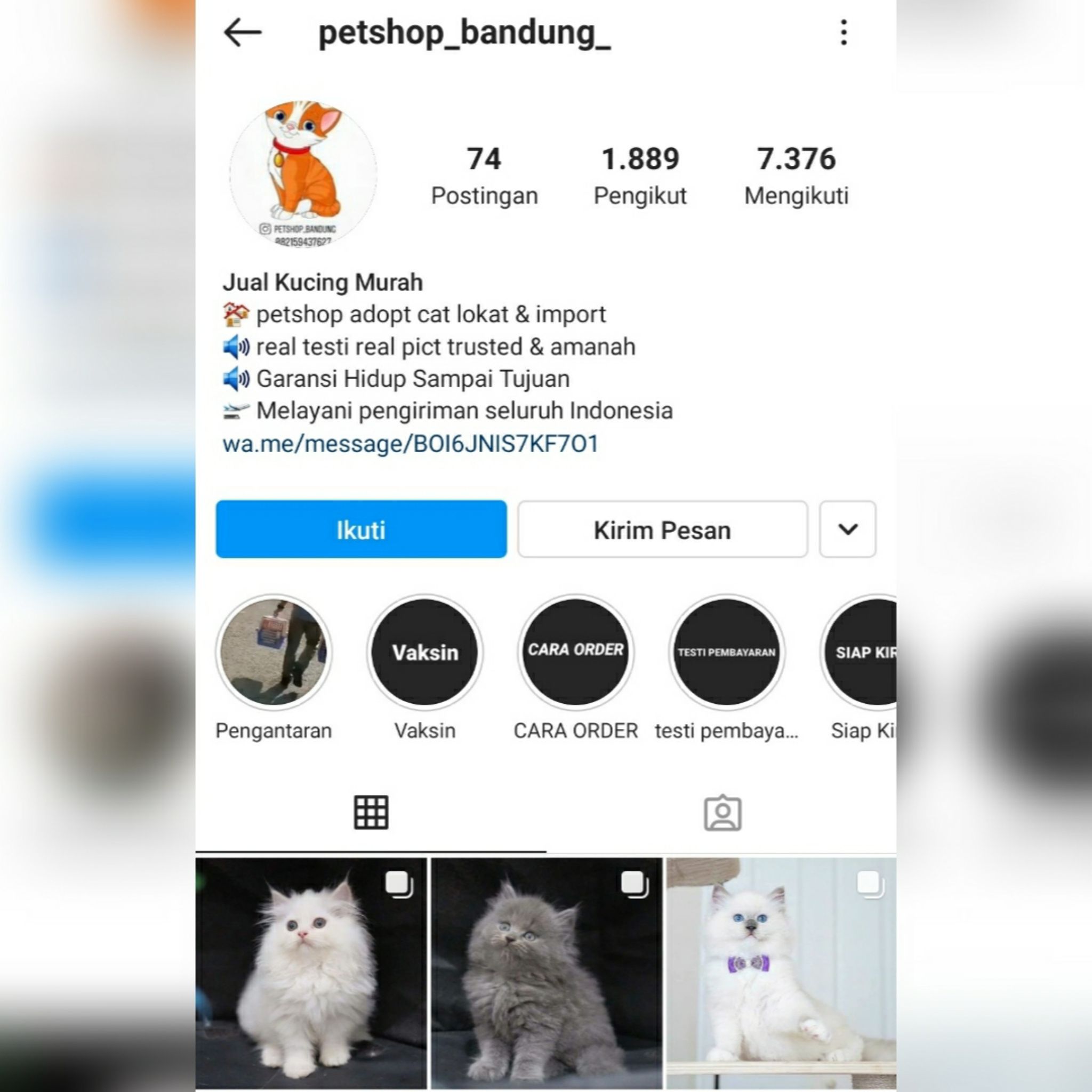 Tangkapan layar akun Instagram Petshop_bandung_.