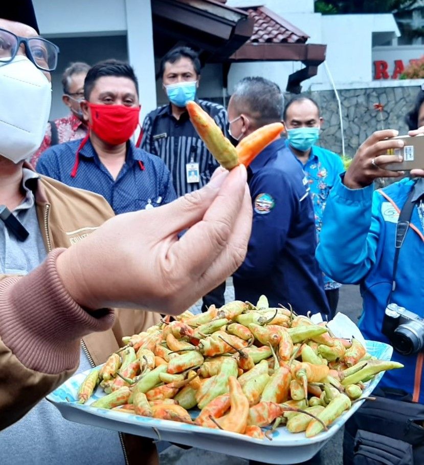 Beredar cabai rawit di cat merah di pasar tradisional, Bupati Banyumas Achmad Husein  minta warga teliti sebelum membeli
