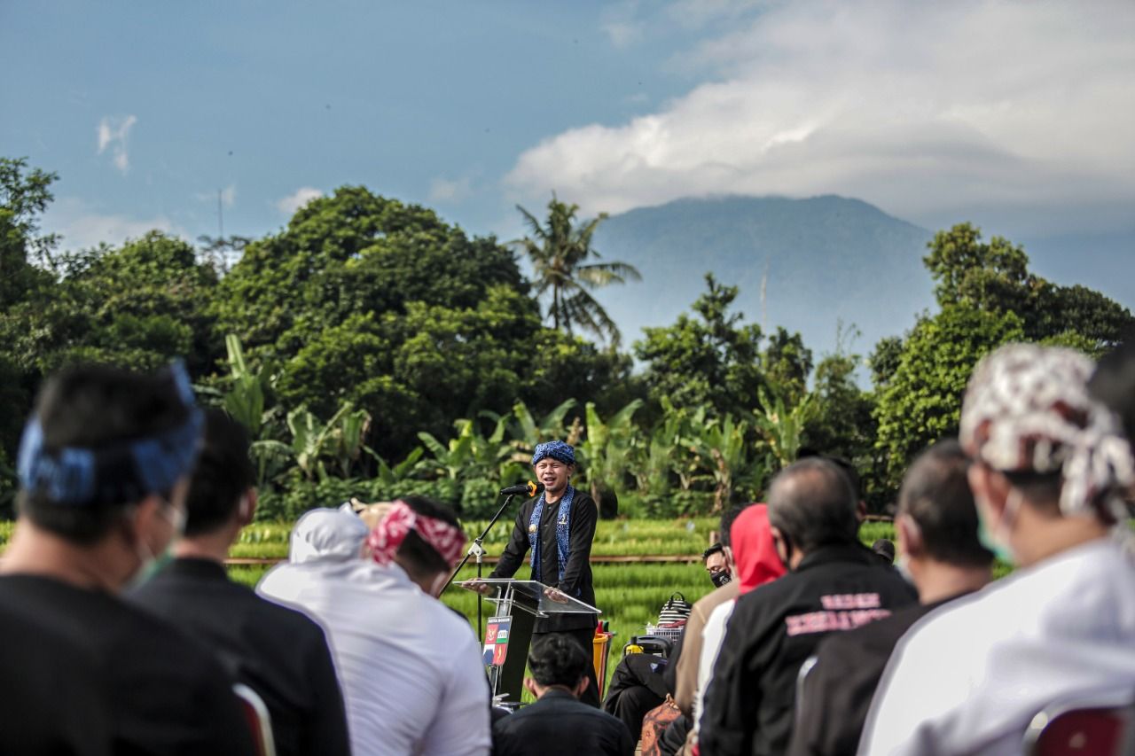 Wali Kota Bogor Bima Arya saat memimpin rapat di tengah sawah.*