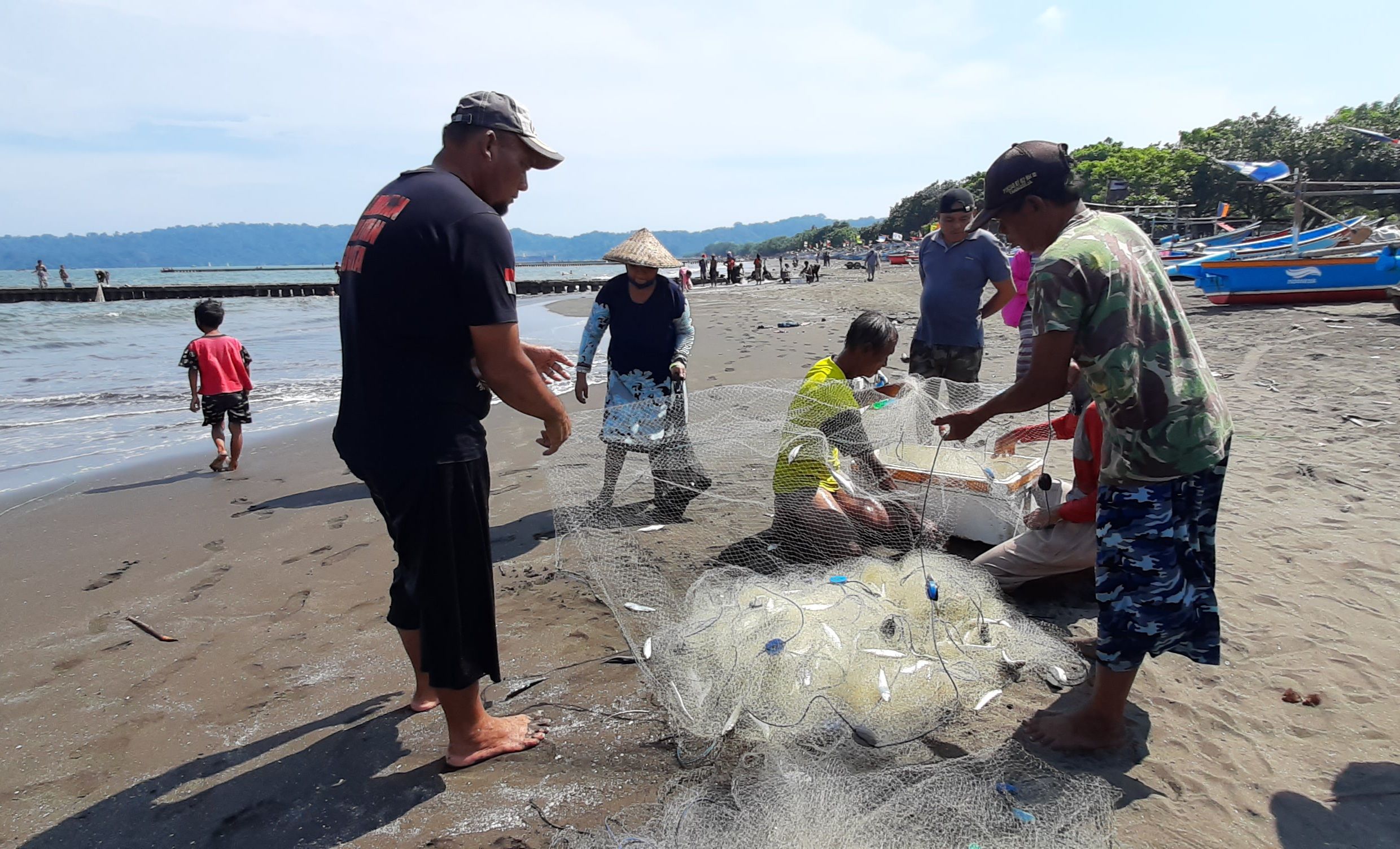 Nelayan Cilacap panen Ikan Lemuru atau Ikan Siro yang mendarat di Pantai Teluk Penyu Cilacap, Jumat, 8 Januari 2021