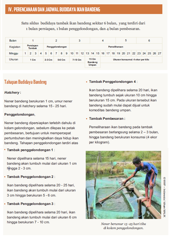 Tangkapan layar dari dokumen Better Management Practices: Seri Panduan Perikanan Skala Kecil, Budidaya Bandeng (Chanos chanos) Pada Tambak Ramah Lingkungan 
