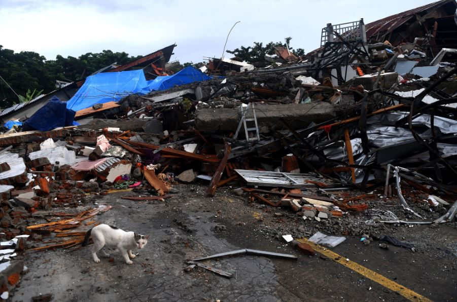 Terdampak Gempa Bumi dan Longsor, Enam Desa di Majene ...