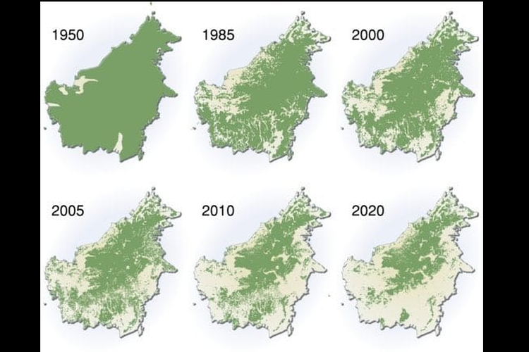 Peta deforestasi Walhi di Kalimantan. /YouTube Rocky Gerung Official