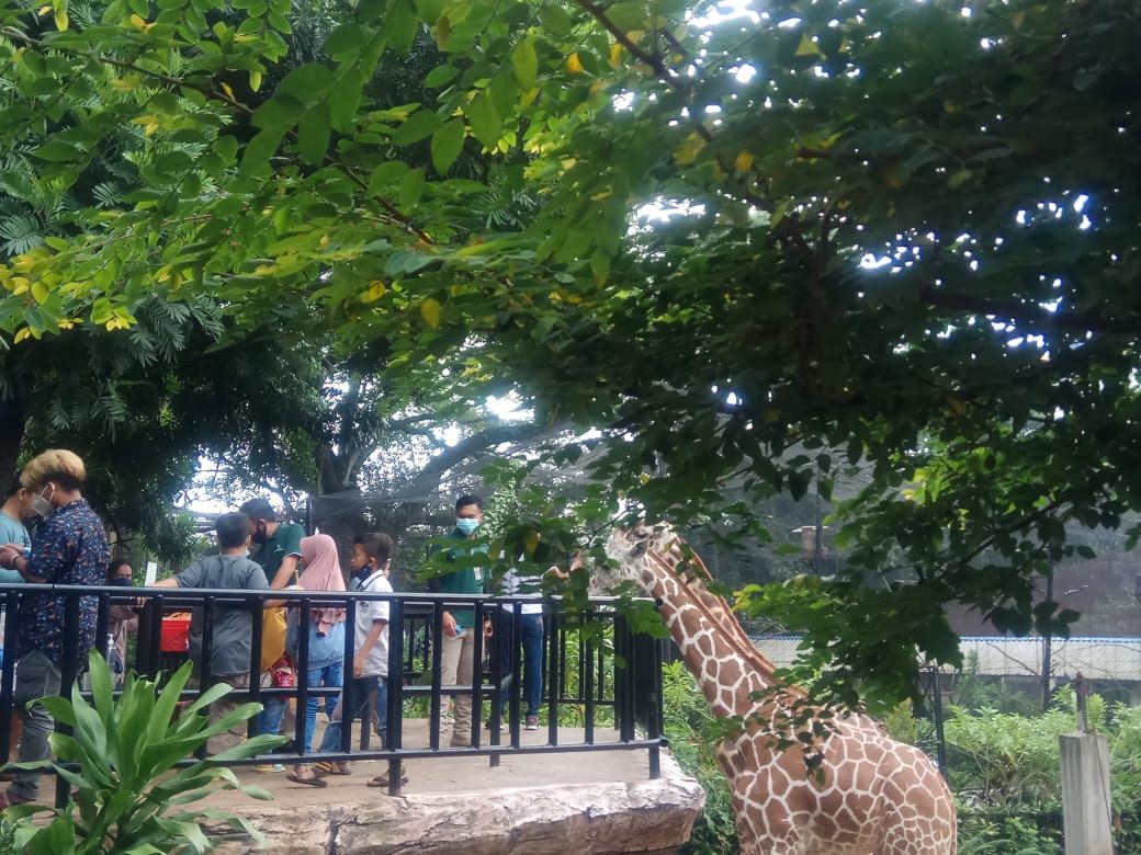 Salah satu spot foto di Kebun Binatang Bandung.