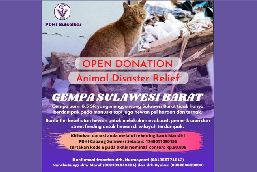 PHDI membuka donasi bagi siapa saja yang ingin membantu korban satwa gempa di Sulawesi Barat
