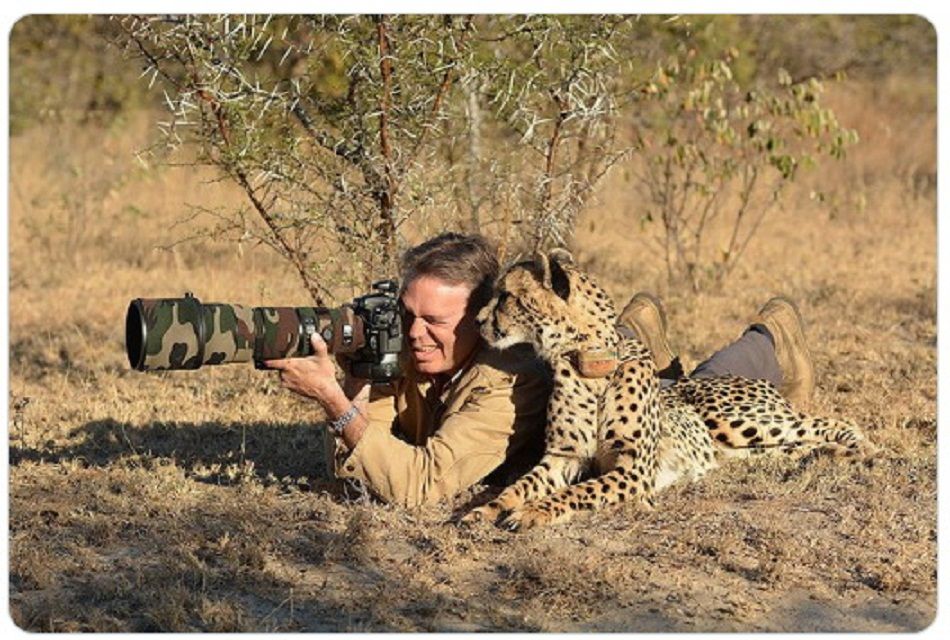  Seekor cheetah ikut mengintip jendela bidik kamera.