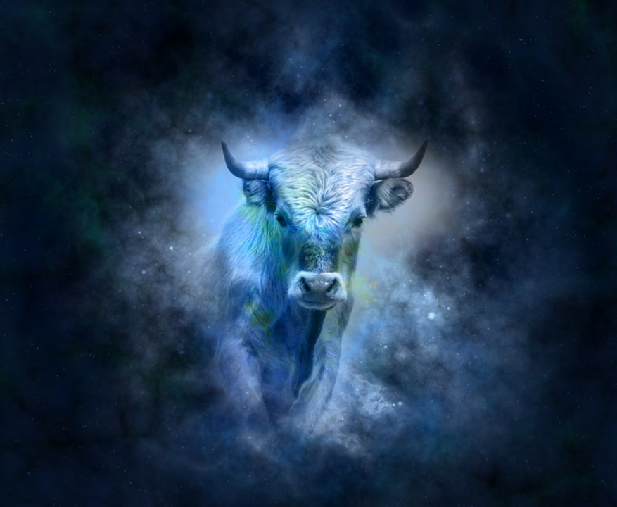 Ilustrasi Taurus