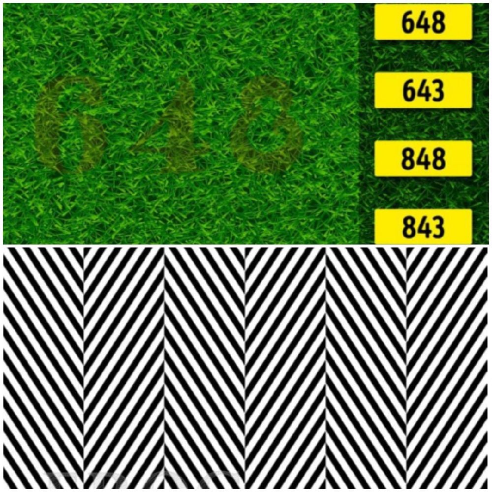 Tebak Kata Dan Angka Dalam Gambar Kuis Ilusi Optik Buktikan Kejelian Mata Anda Jurnal Palopo