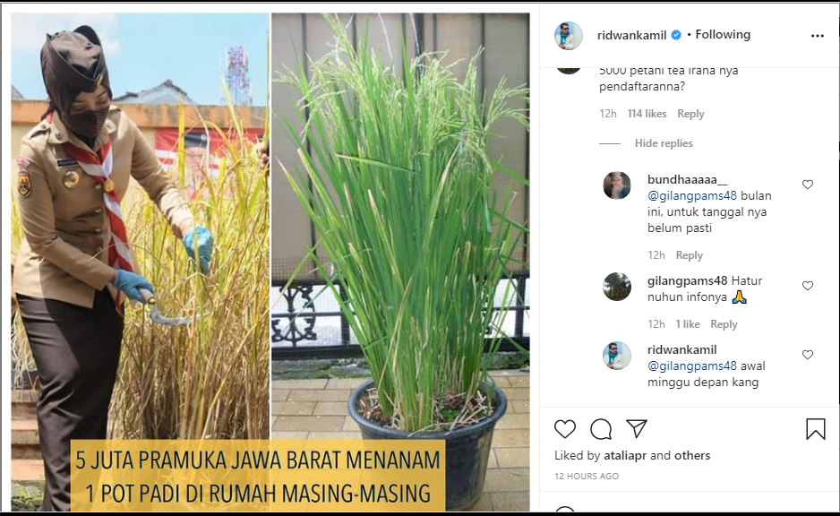 TANGKAPAN layar saat Gubernur Jawa Barat menjawab pertanyaan netizen soal pendaftaran program 5.000 petani 4.0. Ridwan Kamil mengatakan, awal pekan depan.