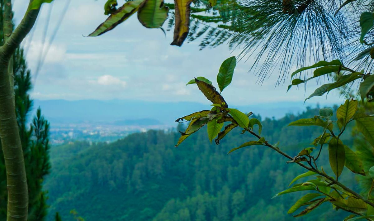 Panorama Alam Tebing Keraton memesona dan instagramable
