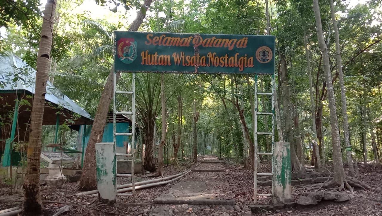 Hutan Nostalgia Alor di Kelurahan Kabola, Kecamatan Kabola, Kabupaten Alor