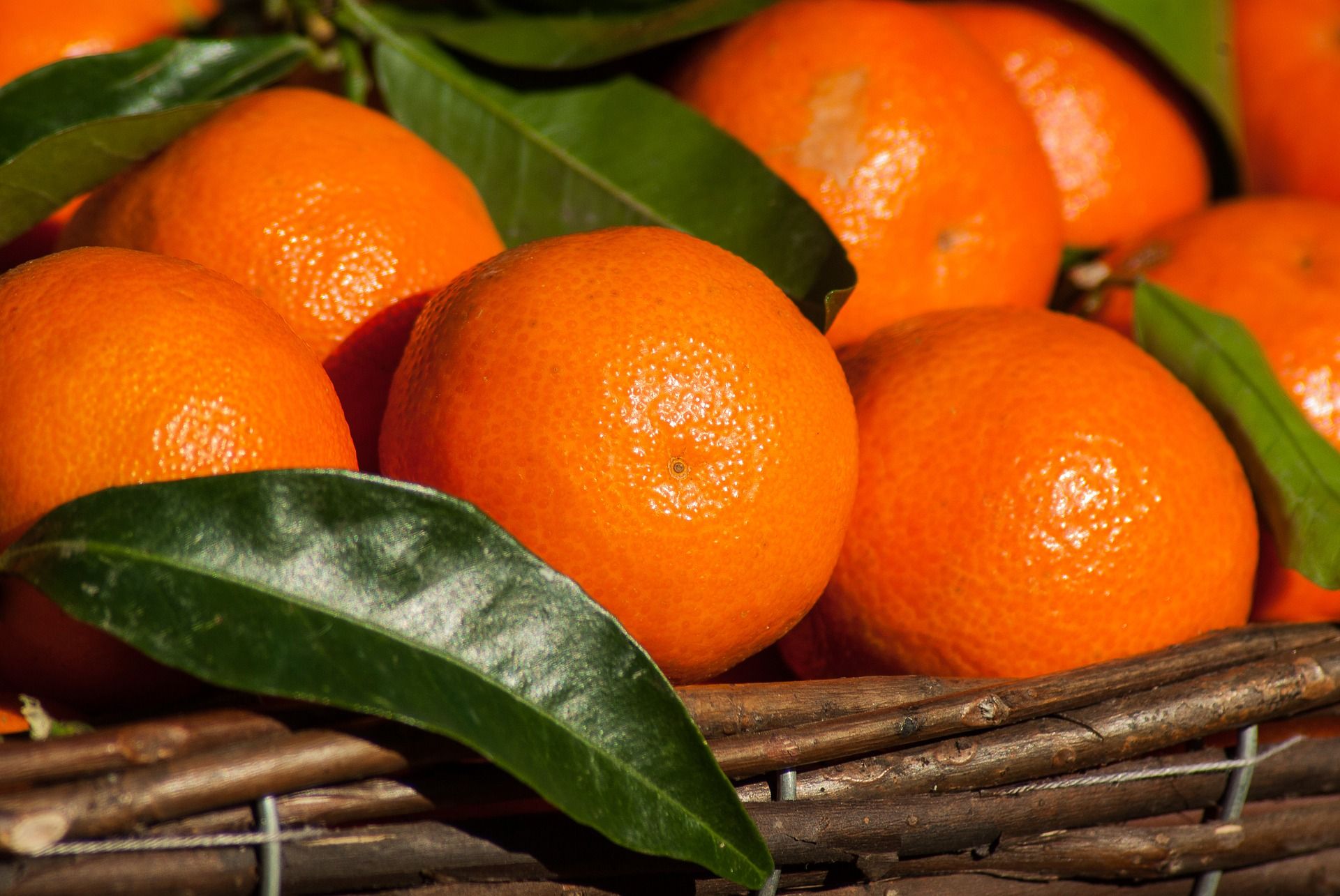 Jeruk Mandarin salah satu dari lima hidangan yang wajib ada saat perayaan Imlek/Pixabay