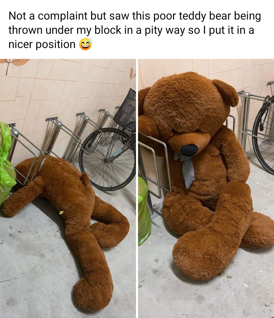 Teddy bear akhirnya duduk dengan manis