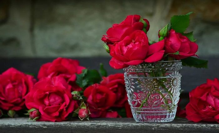 Bunga mawar merah identik dengan Valentine Day.*  