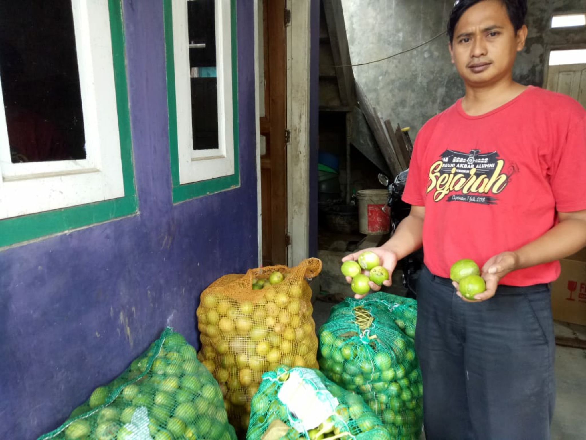 Endin Hardianto (38) warga Desa Sukawana, Kecamatan Kertajati, Kabupaten Majalengka olah jeruk lemon jadi air lemon murni dan air minum sehat dan menyegarkan yang dicampur madu.