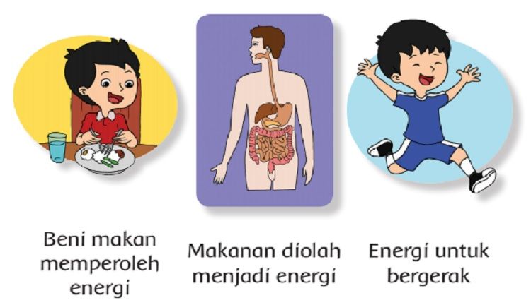 Kunci Jawaban Tema 6 Kelas 3 Sd Energi Dan Perubahannya Halaman 55 56 57 61 62 Subtema 2 Portal Probolinggo