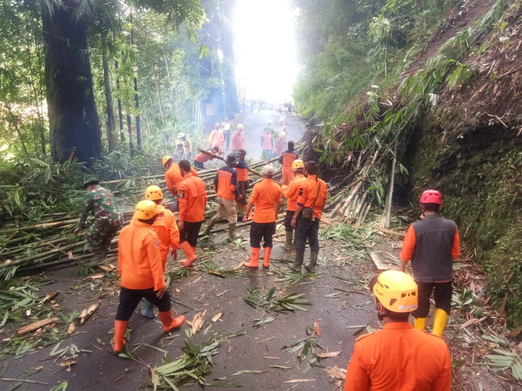 Petugas BPBD dan Relawan PB Kabupaten Tasik evakuasi bambu yang longsor tutupi jalan beberapa waktu lalu