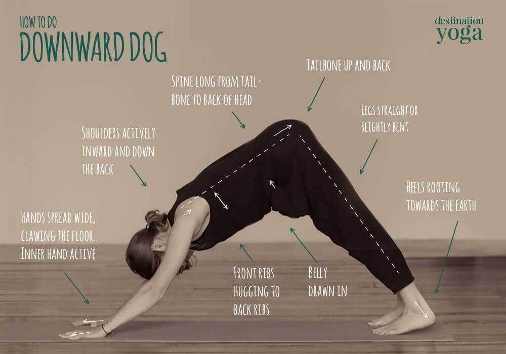 Gerakan Yoga Downward Dog