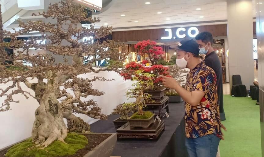 Pengunjung mall antusias melihat pameran bonsai