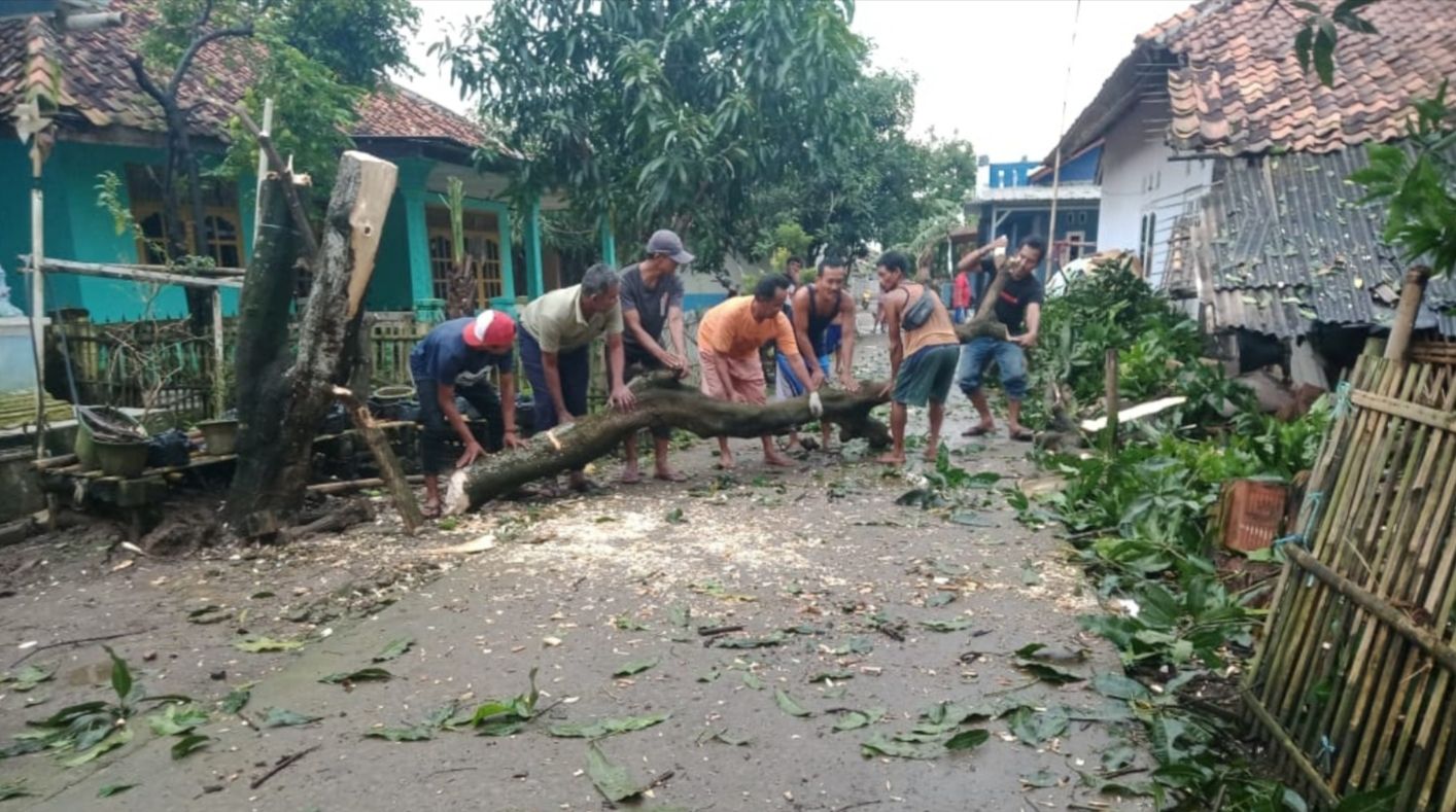 Evakuasi Pohon Tumbang Warga Desa