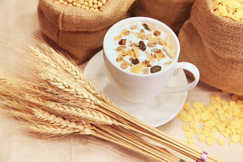 Ilustrasi gandum dan minuman sereal berbahan baku gandum.